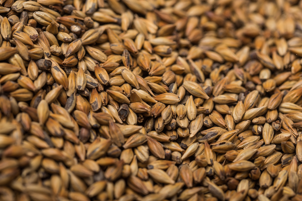 Carawheat (110-140 EBC)