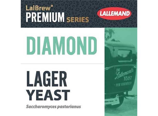 Lallemand Diamond Lager 11 g