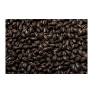 Chocolate Spelt malt (450-1000 EBC)