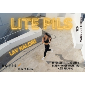 Lite Pils allgrain 20L